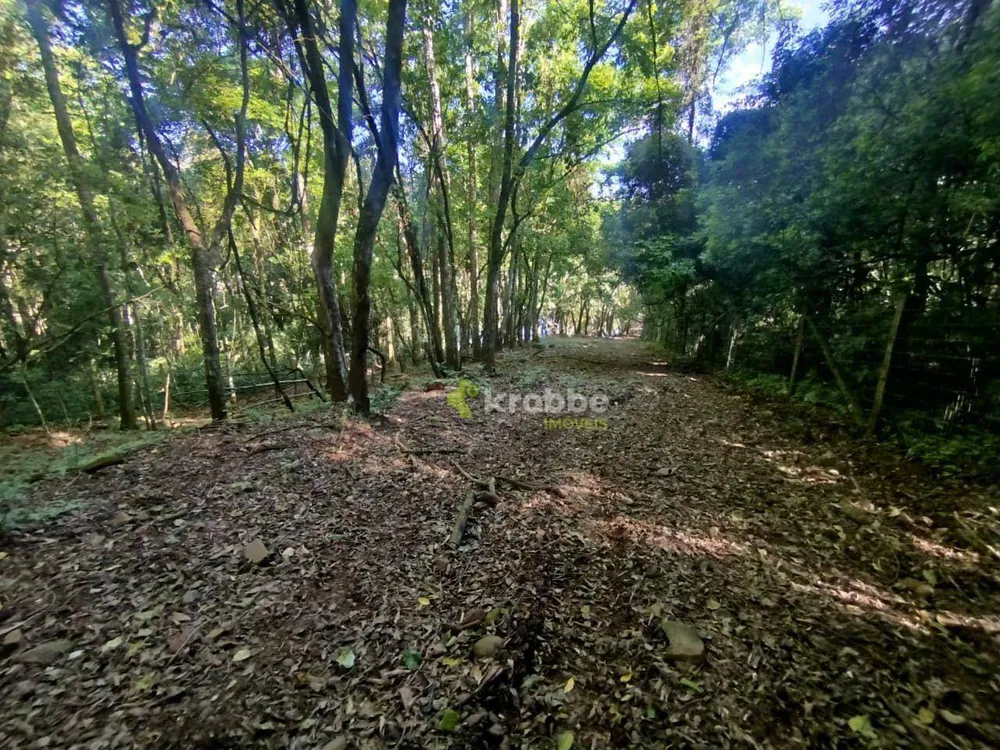 Terreno, 4 hectares - Foto 9