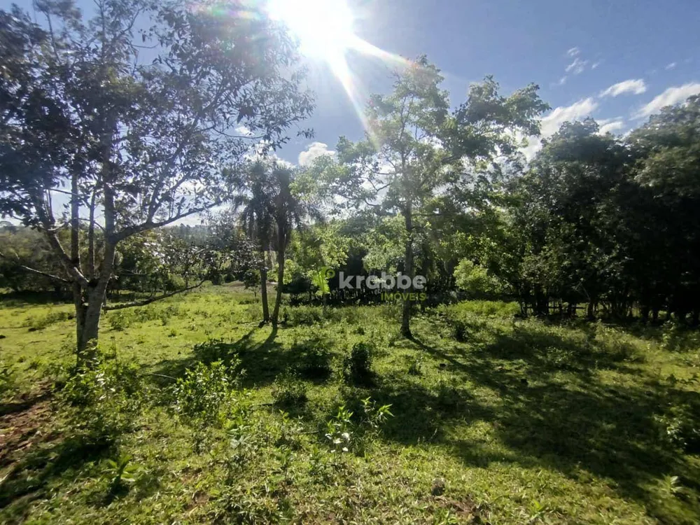 Terreno, 4 hectares - Foto 7