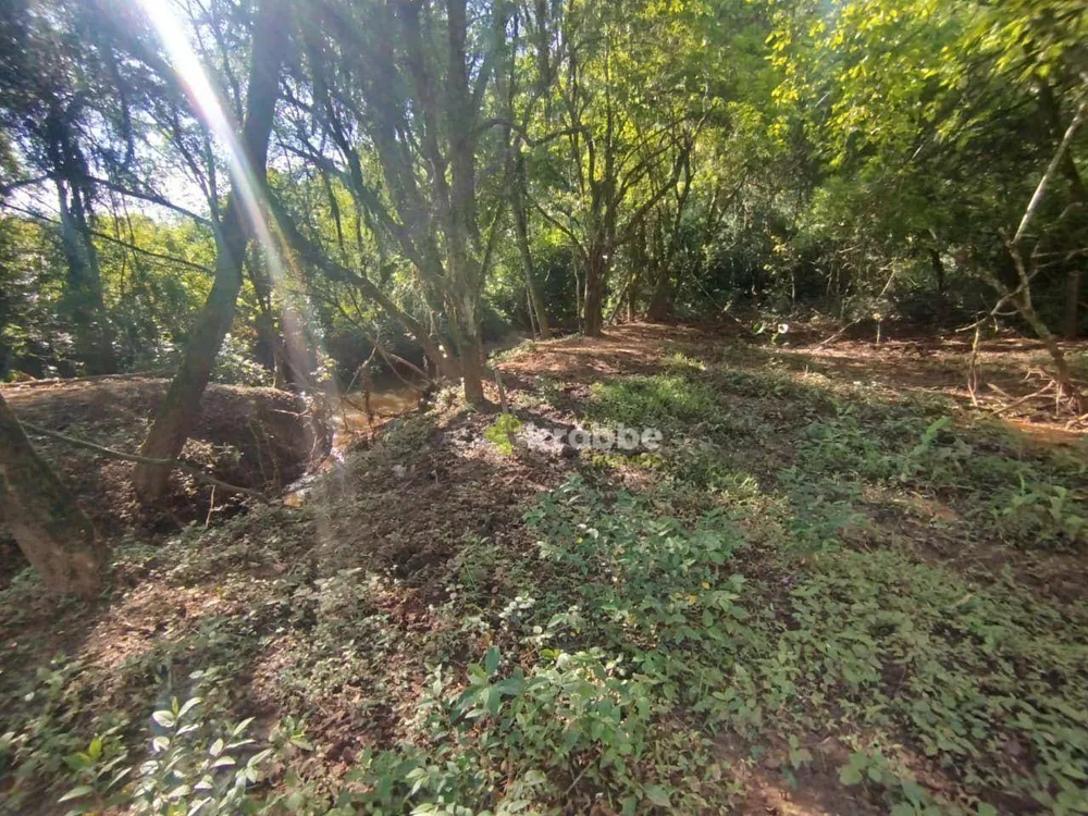 Terreno, 4 hectares - Foto 10