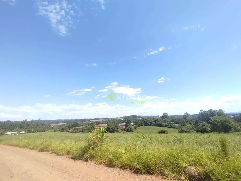 Chácara, 5000 m² - Foto 2