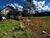 Terreno, 10000 m² - Foto 4