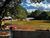 Terreno, 10000 m² - Foto 3