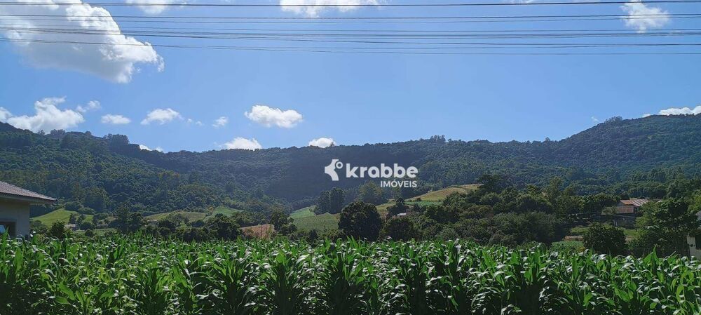 Terreno, 2 hectares - Foto 2