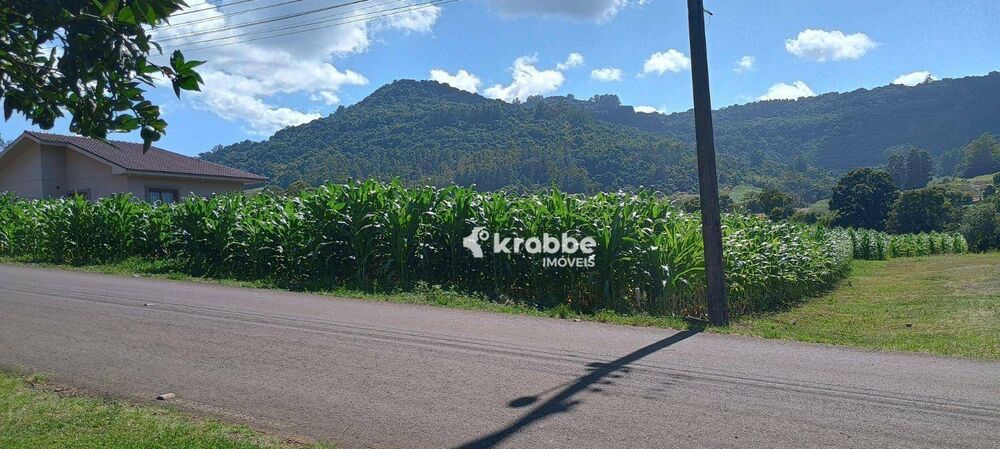 Terreno, 2 hectares - Foto 1