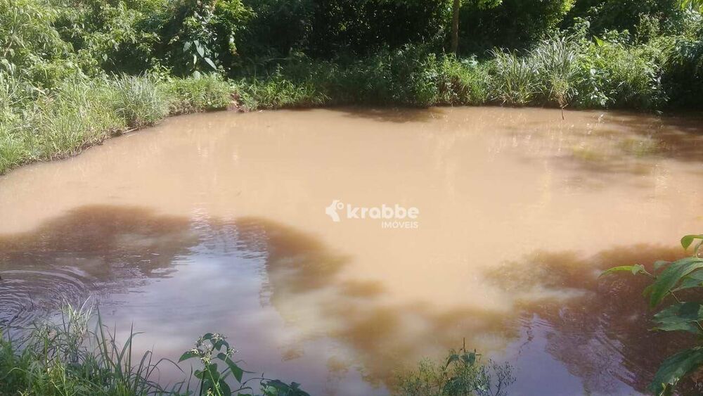 Chácara, 1 quarto, 4300 m² - Foto 5