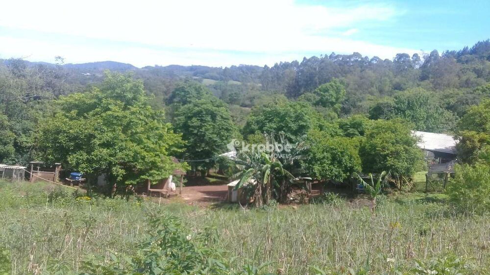 Chácara, 1 quarto, 4300 m² - Foto 4