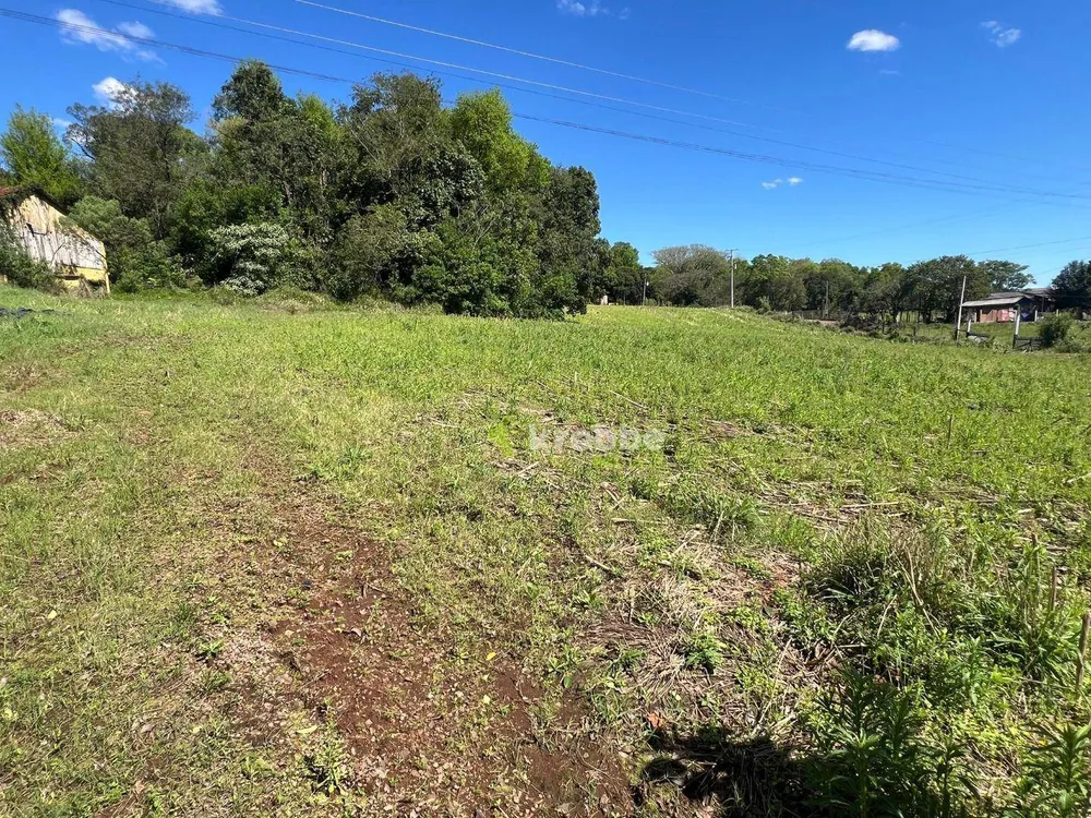 Terreno, 5 hectares - Foto 6