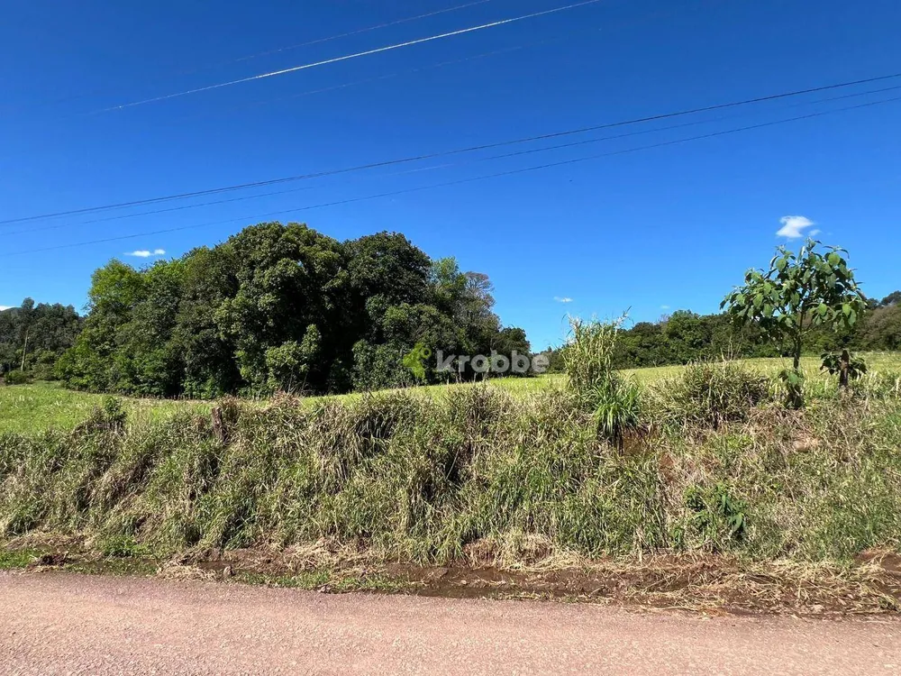 Terreno, 5 hectares - Foto 2