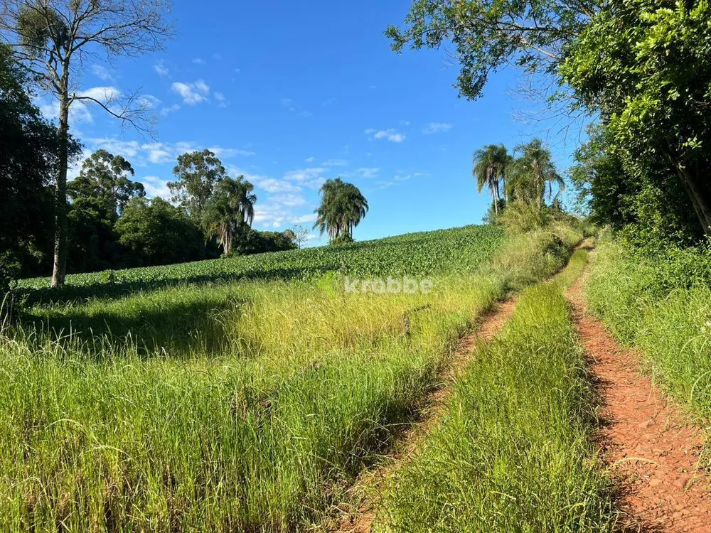 Terreno, 5 hectares - Foto 7