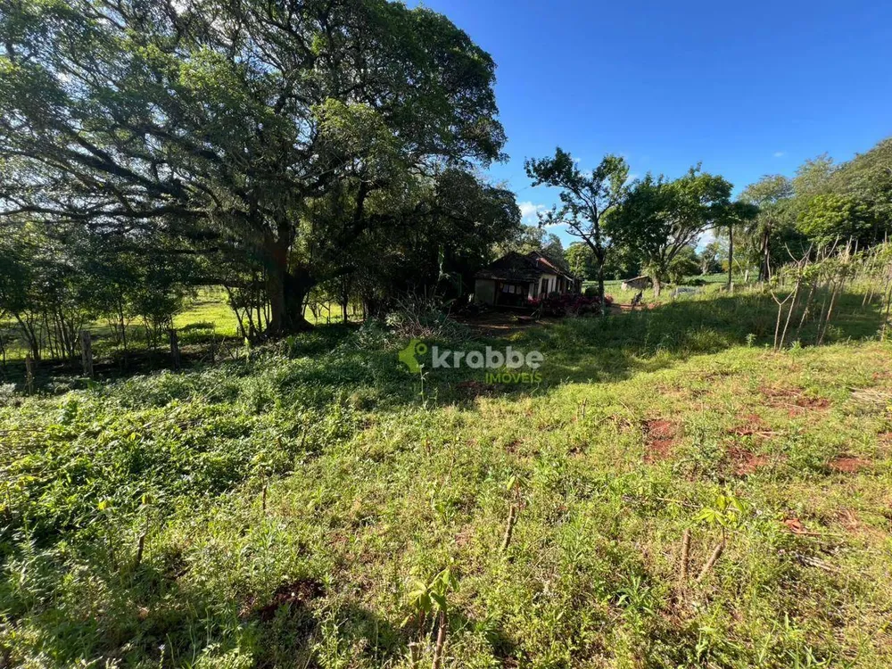 Terreno, 5 hectares - Foto 1