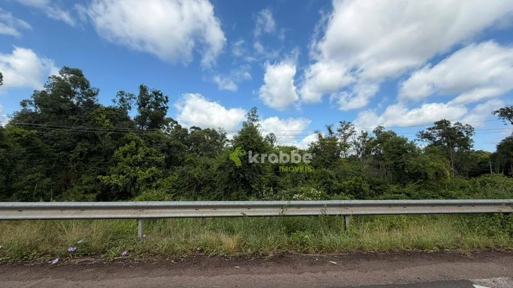Terreno, 2 hectares - Foto 7