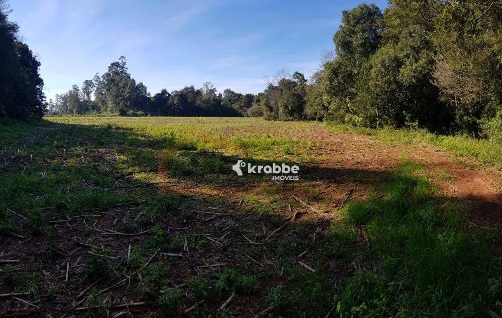 Chácara, 4 quartos, 8 hectares - Foto 1