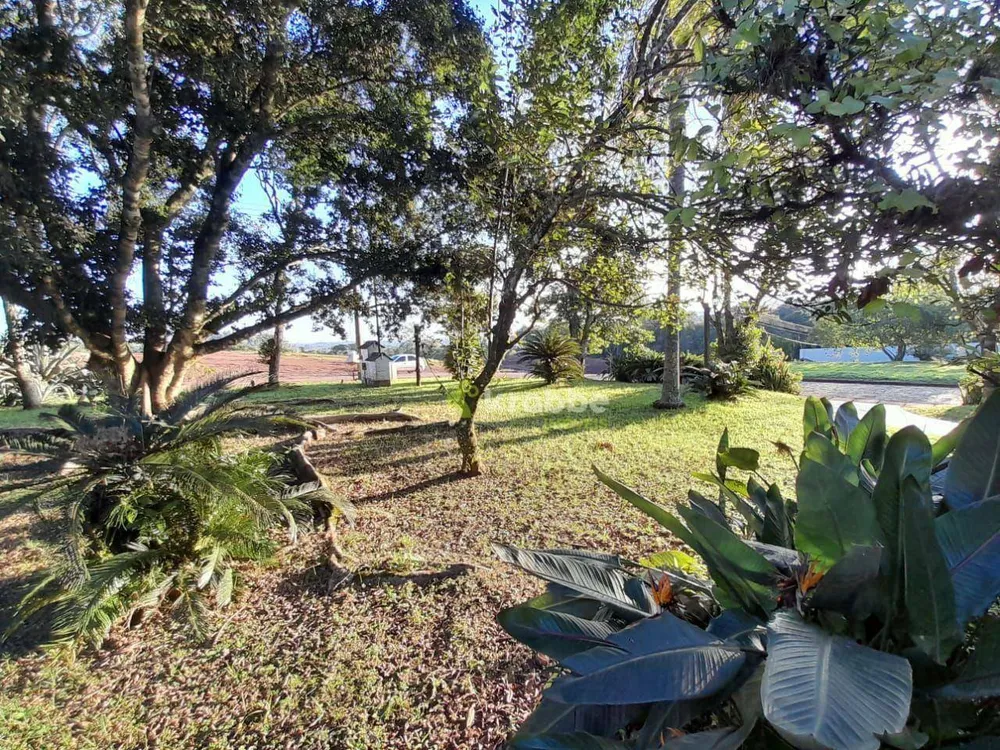 Casa, 6 quartos, 360 m² - Foto 4