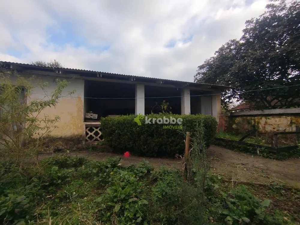Chácara, 4 quartos, 8 hectares - Foto 3