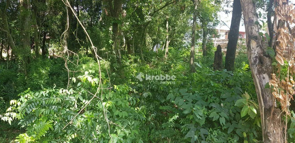 Terreno, 304 m² - Foto 2