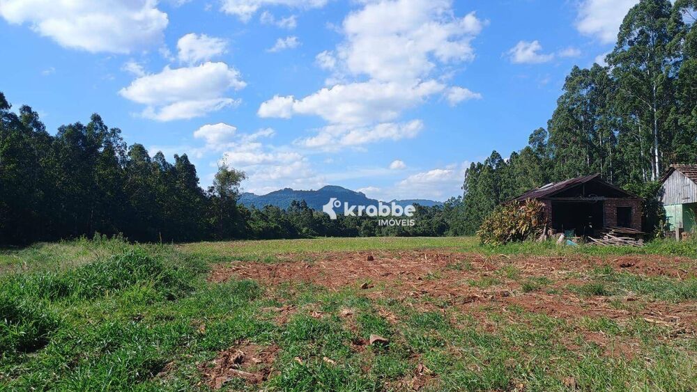 Sítio, 2 quartos, 7000 m² - Foto 2