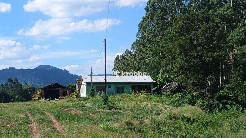 Sítio, 2 quartos, 7000 m² - Foto 3