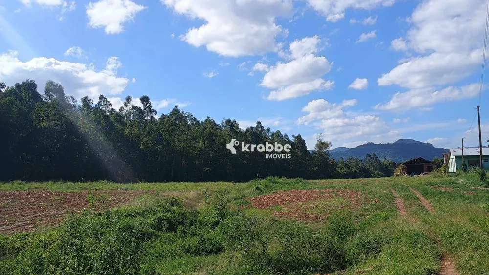 Sítio, 2 quartos, 7000 m² - Foto 7