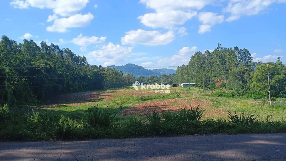 Sítio, 2 quartos, 7000 m² - Foto 6