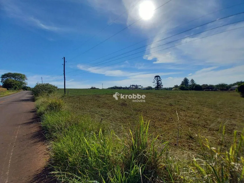 Terreno, 4 hectares - Foto 3