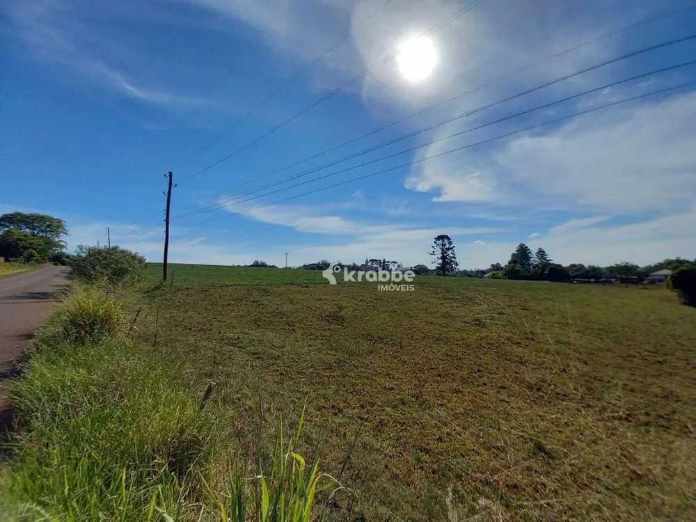 Terreno, 4 hectares - Foto 2
