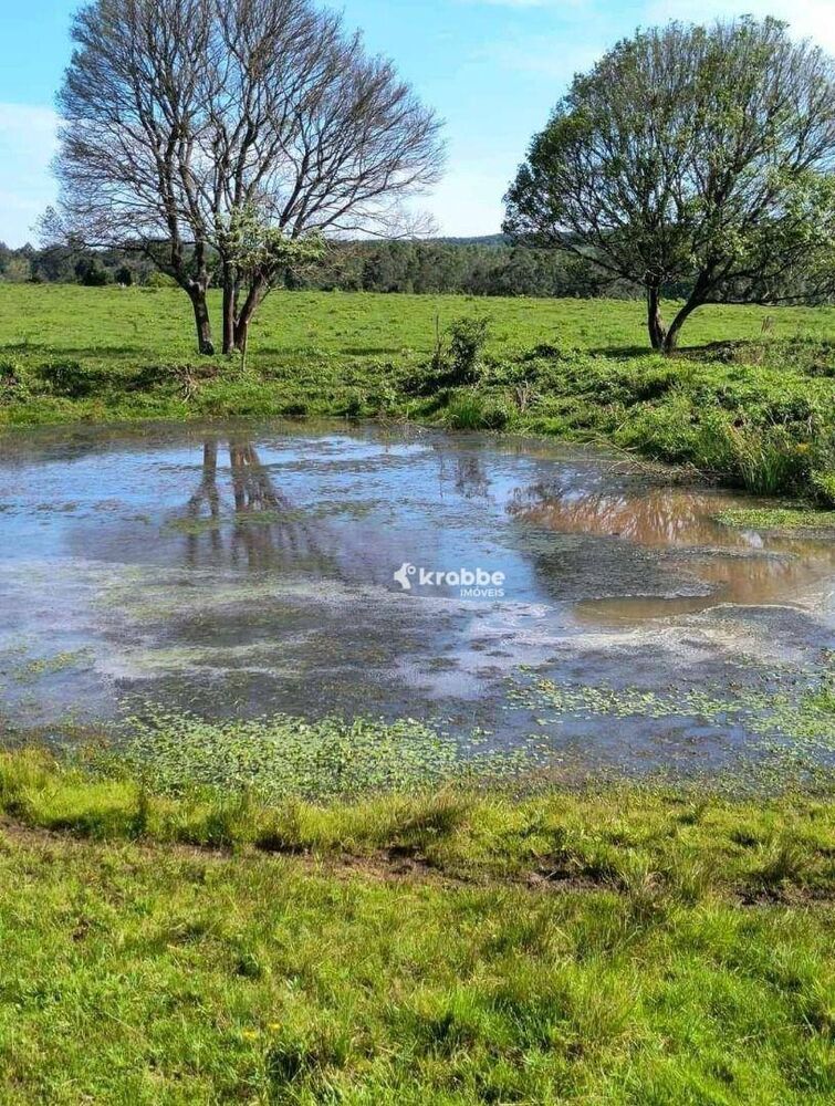 Terreno, 7 hectares - Foto 2