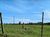 Terreno, 7 hectares - Foto 3