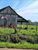 Terreno, 7 hectares - Foto 1