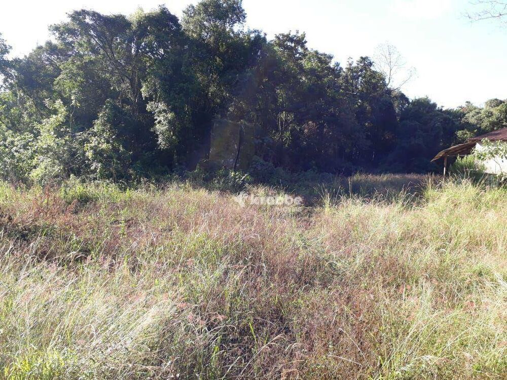 Terreno, 3000 m² - Foto 3