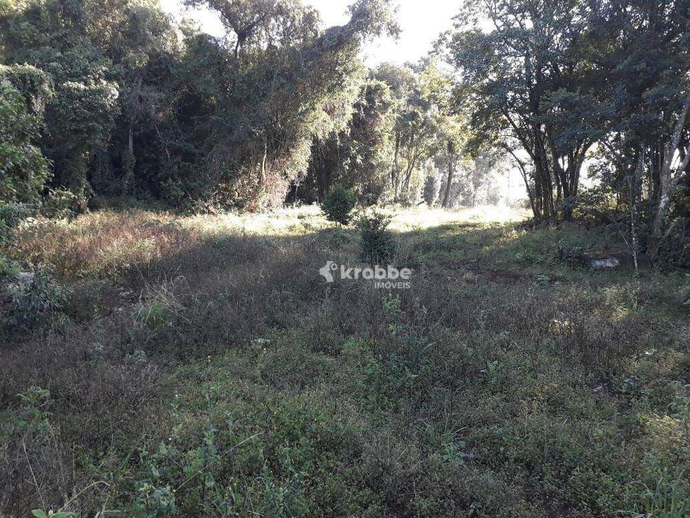 Terreno, 3000 m² - Foto 1