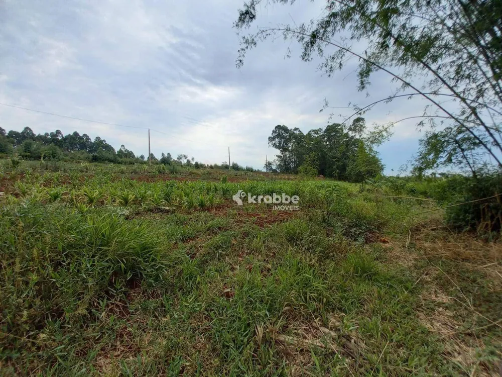 Terreno, 5031 m² - Foto 5
