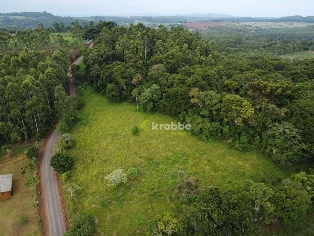 Chácara, 10000 m² - Foto 1
