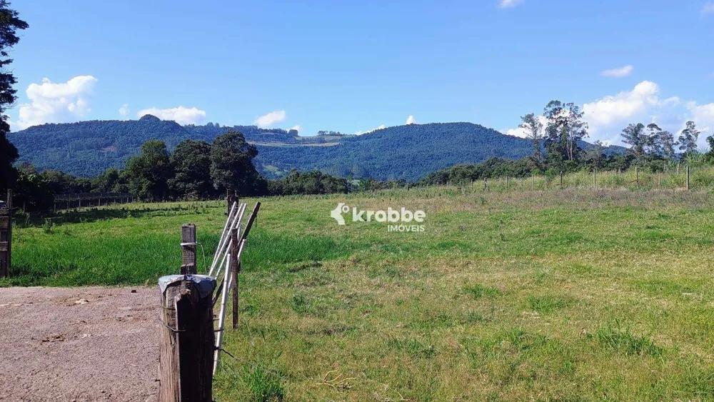 Chácara, 3 quartos, 3 hectares - Foto 12