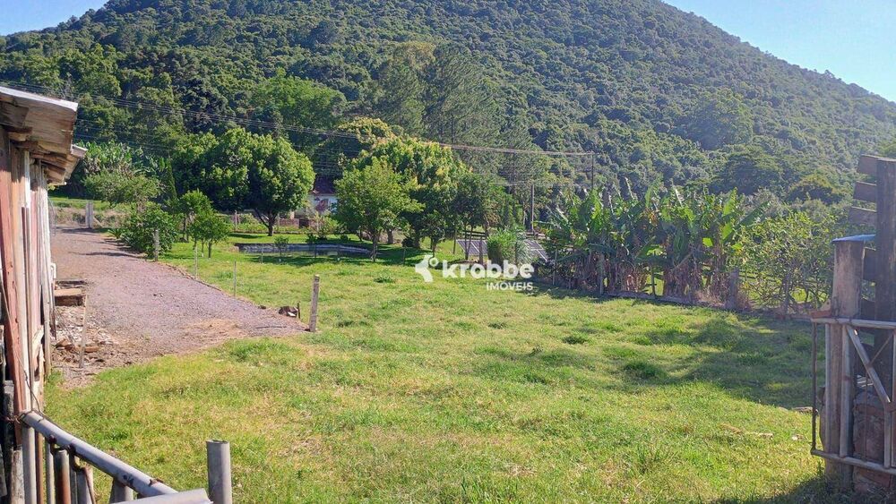 Chácara, 3 quartos, 3 hectares - Foto 3