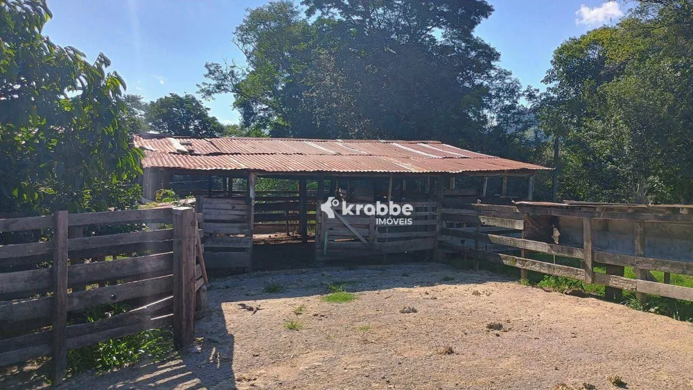 Chácara, 3 quartos, 3 hectares - Foto 13