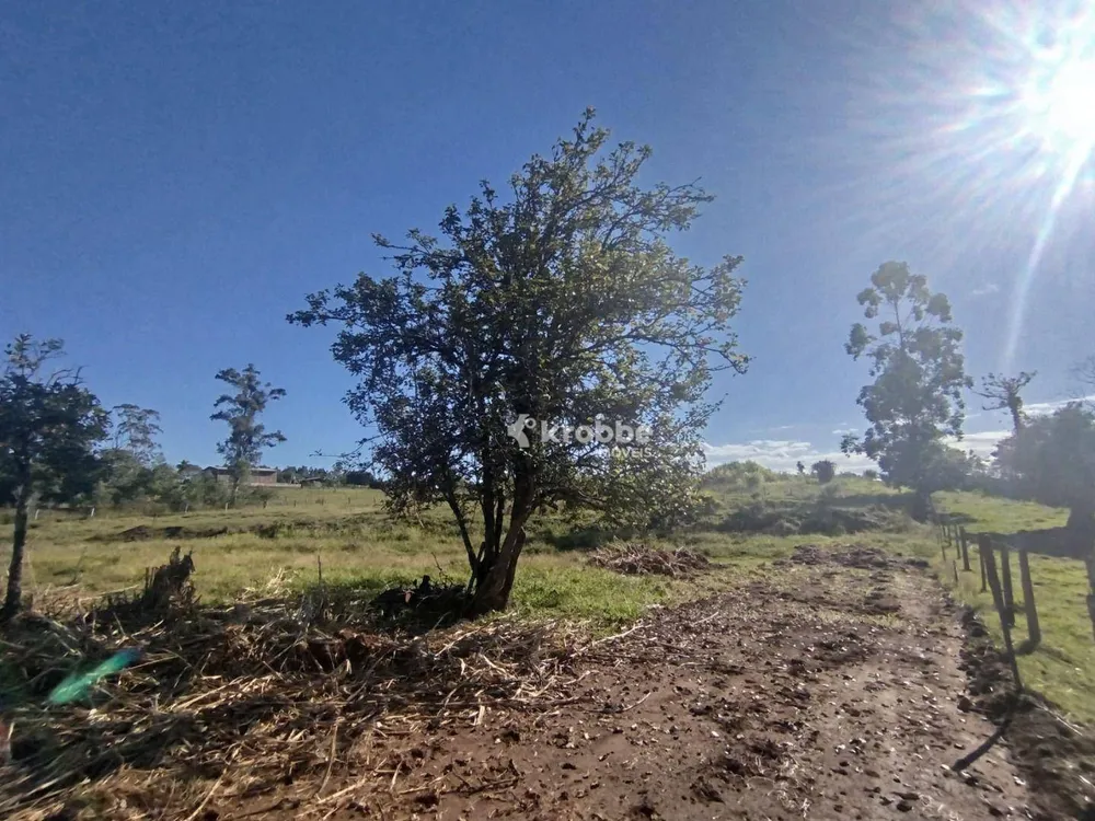 Chácara, 2 quartos, 2 hectares - Foto 6