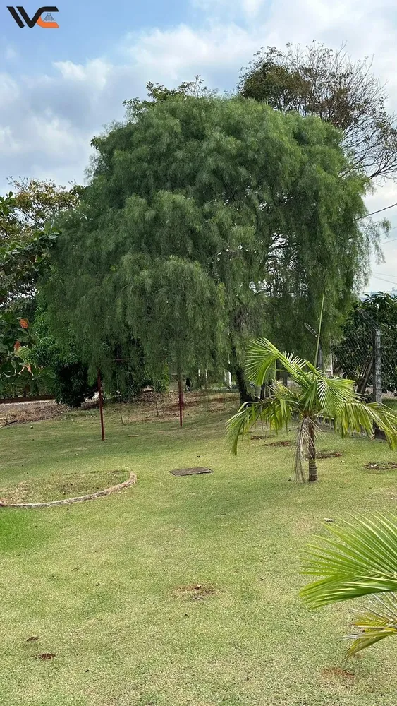 Chácara - Foto 9