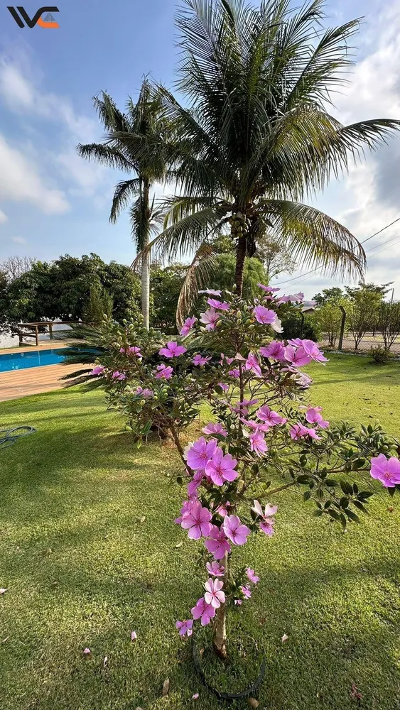 Chácara - Foto 12