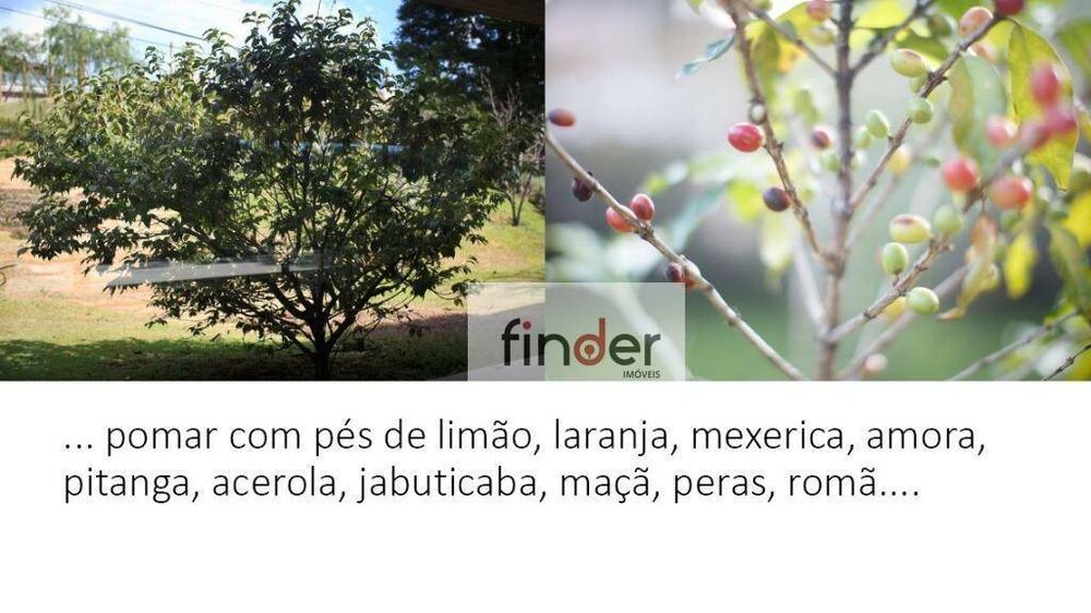 Casa de Condomínio, 7 quartos - Foto 5