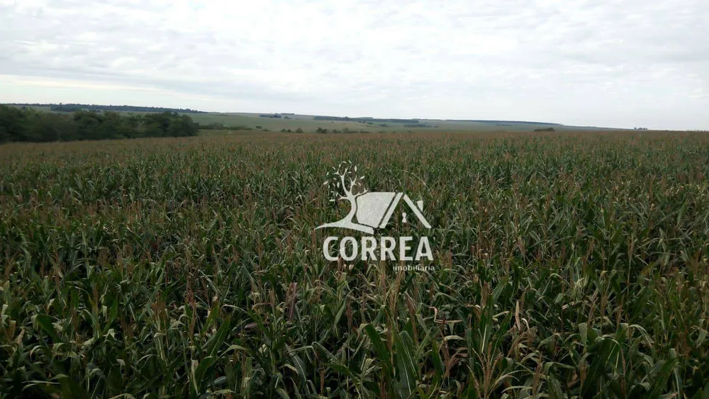 Fazenda, 97 hectares - Foto 2