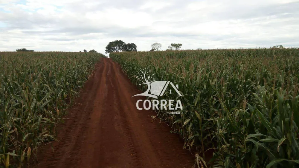 Fazenda, 97 hectares - Foto 1