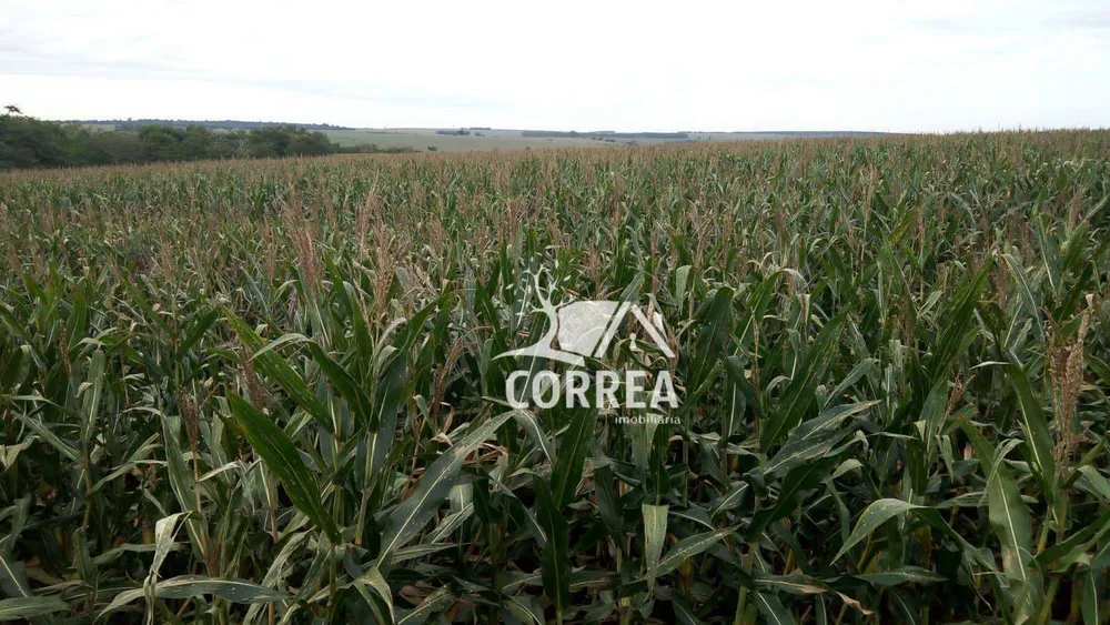 Fazenda, 97 hectares - Foto 3
