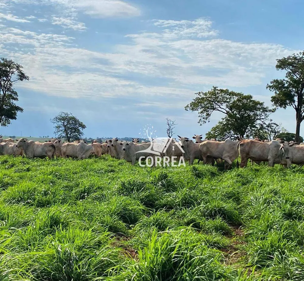 Fazenda, 829 hectares - Foto 2