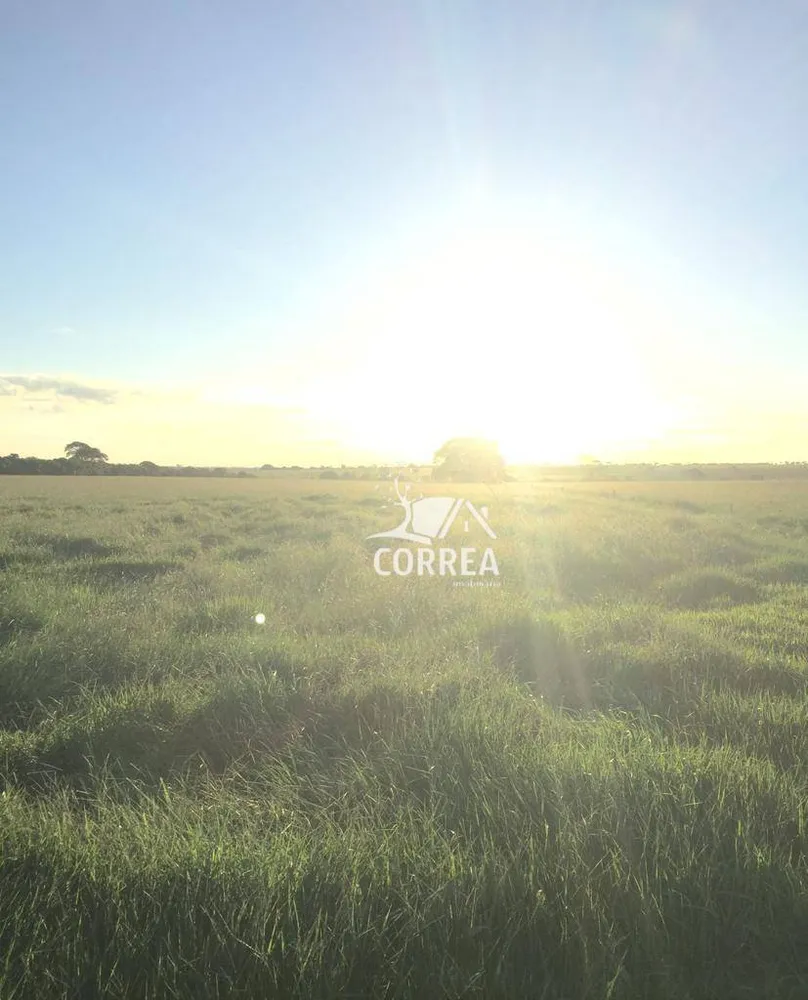 Fazenda, 829 hectares - Foto 4