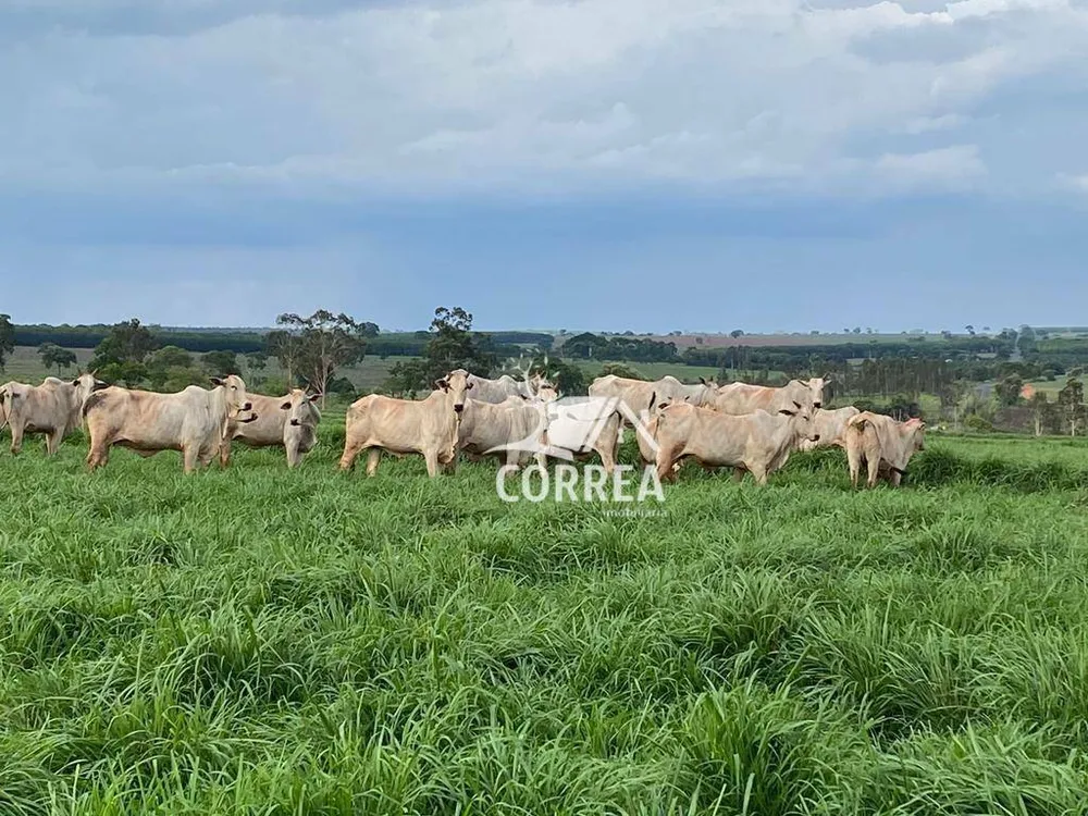 Fazenda, 829 hectares - Foto 1