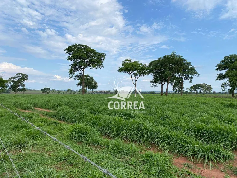 Fazenda, 829 hectares - Foto 3