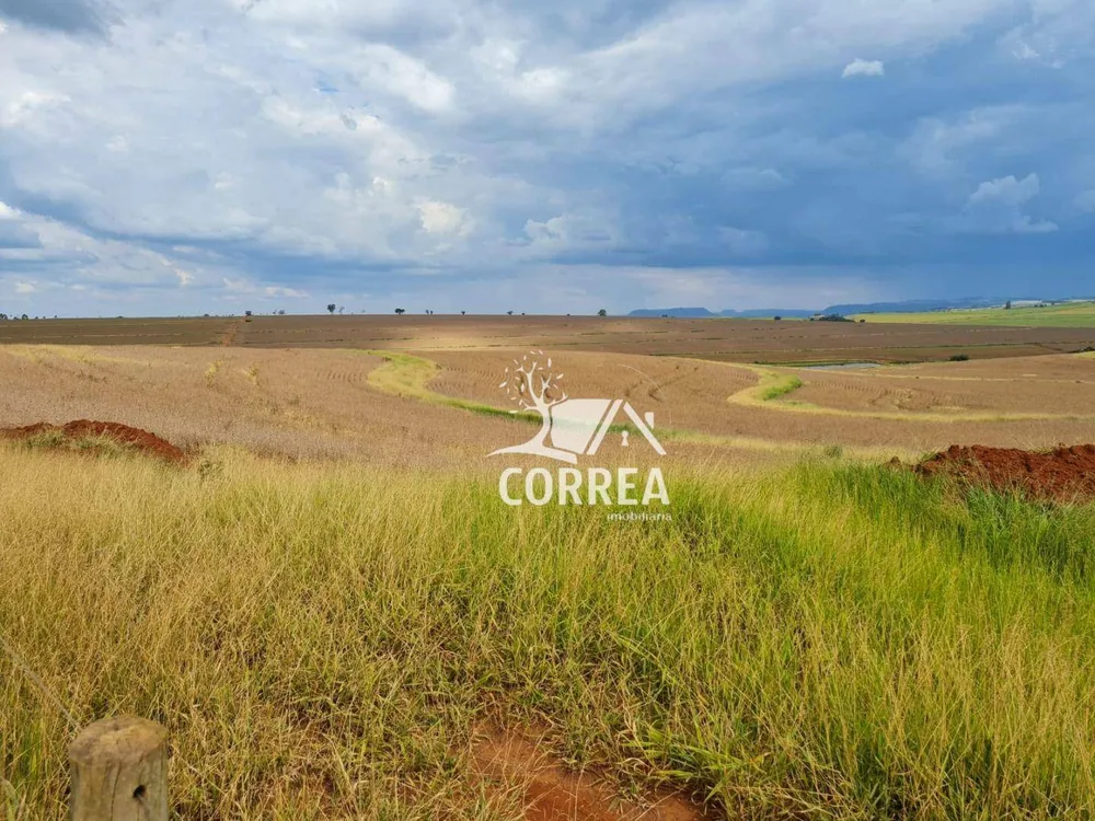 Fazenda, 1324 hectares - Foto 4