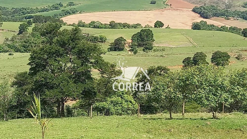 Fazenda, 97 hectares - Foto 3