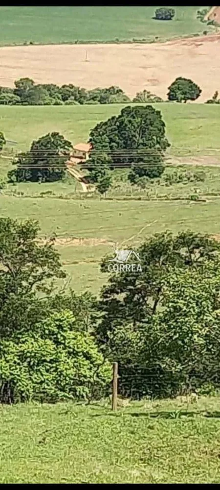 Fazenda, 97 hectares - Foto 4