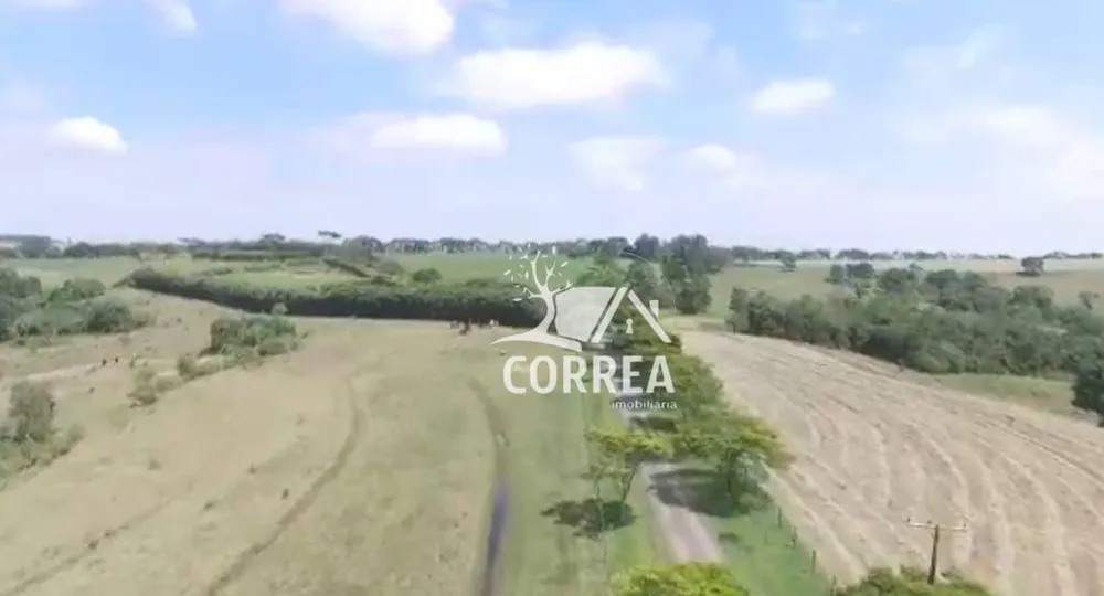 Fazenda, 264 hectares - Foto 4